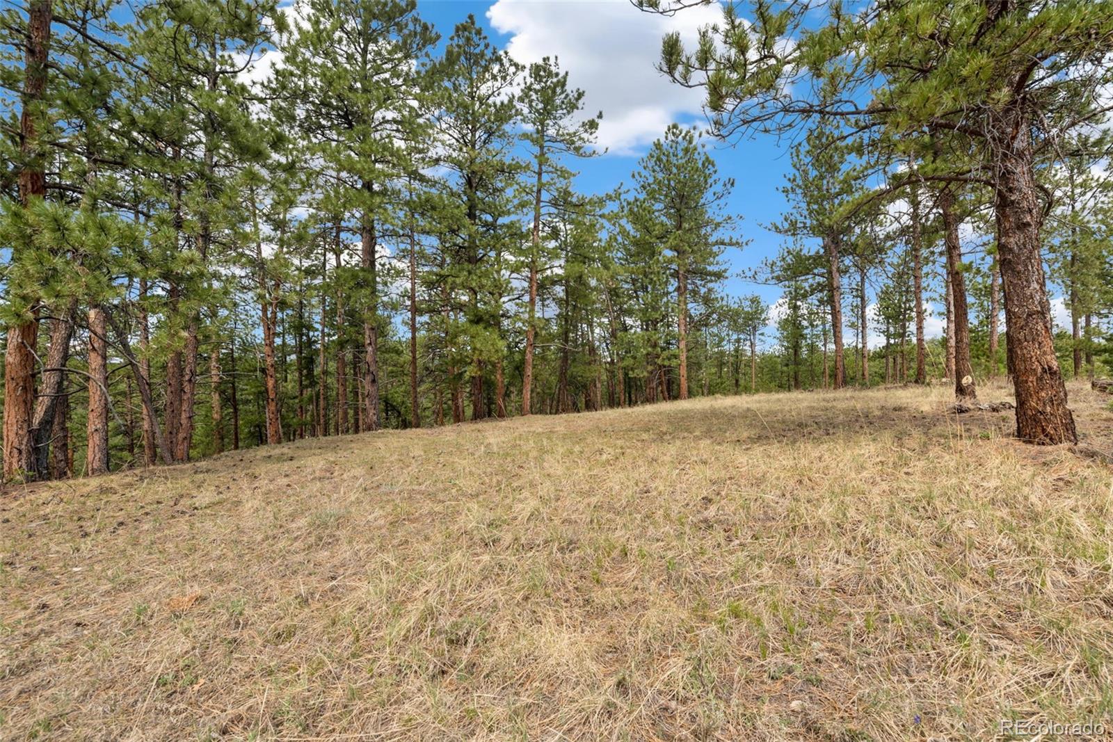2859 Highlands View Road Evergreen, CO 80439 - Photo 15 of 22