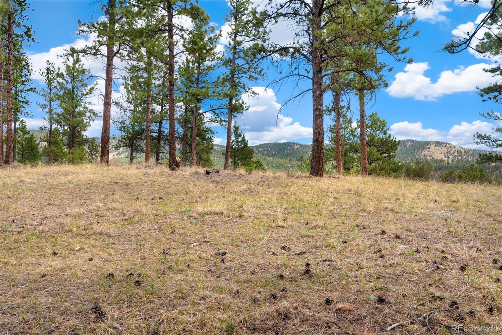 2859 Highlands View Road Evergreen, CO 80439 - Photo 2 of 22 a view of road and trees