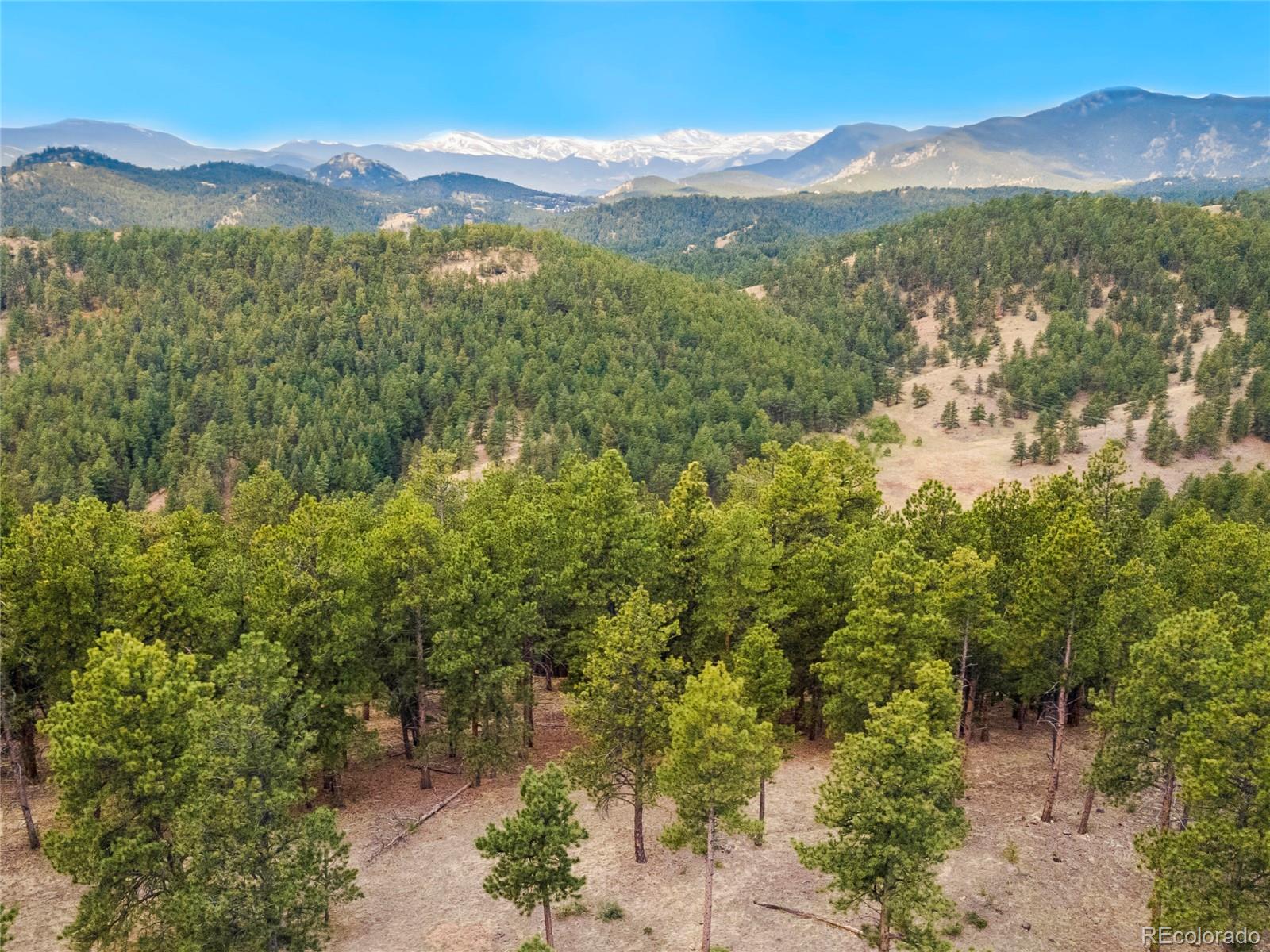 2859 Highlands View Road Evergreen, CO 80439 - Photo 5 of 22 a view of a forest with mountains in the background