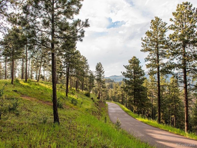 2859 Highlands View Road Evergreen, CO 80439 - Photo 9 of 22 a view of a yard with an trees