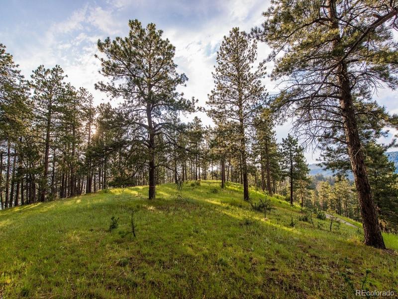 2859 Highlands View Road Evergreen, CO 80439 - Photo 10 of 22 a large yard with lots of green space and trees