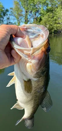 $410,000 | 11821 West Lake Drive, Murchison, TX 75778