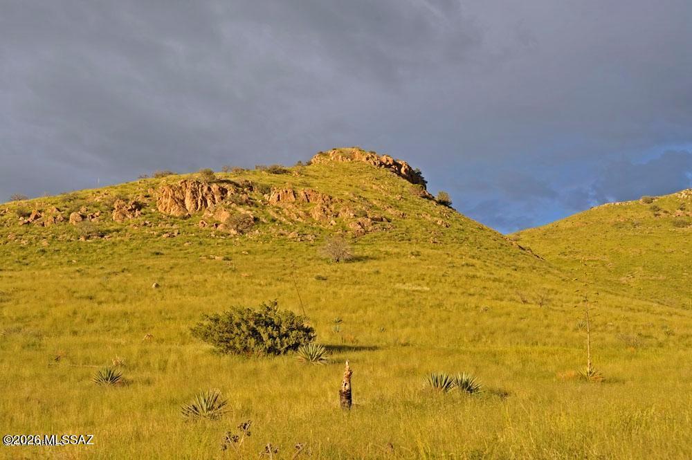Tbd 24-ac South Pinery Canyon Road, Unit D Willcox, AZ 85643 - Photo 4 of 24
