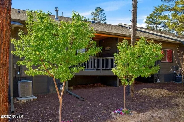 a potted plant sitting in front of a house