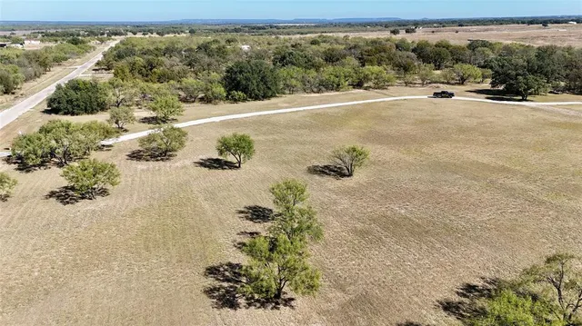 a view of yard with trees