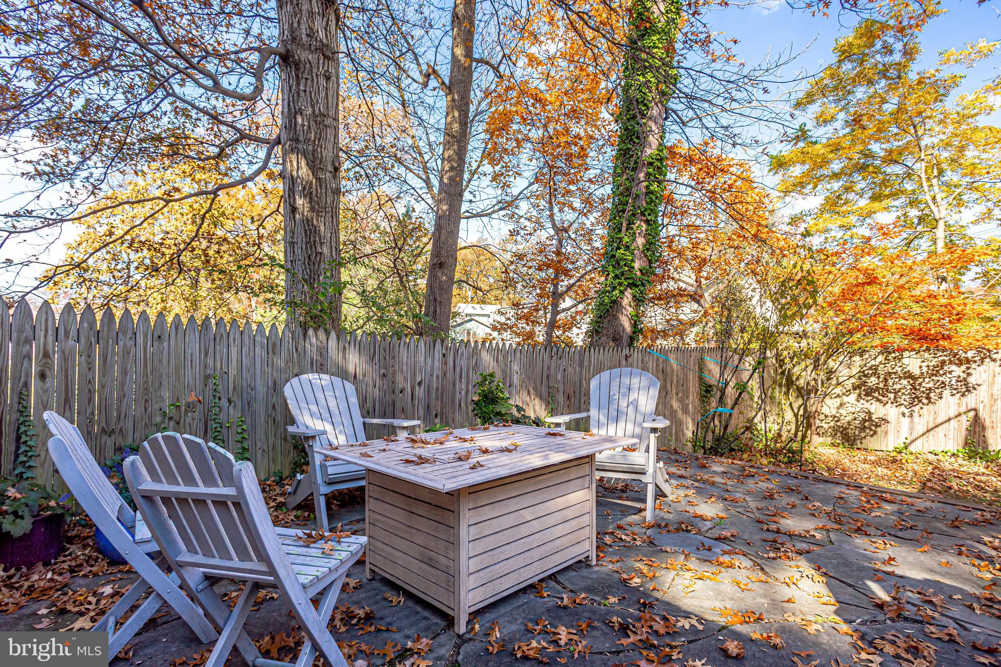 7342 Carroll Avenue Takoma Park, MD 20912 - Photo 34 of 36