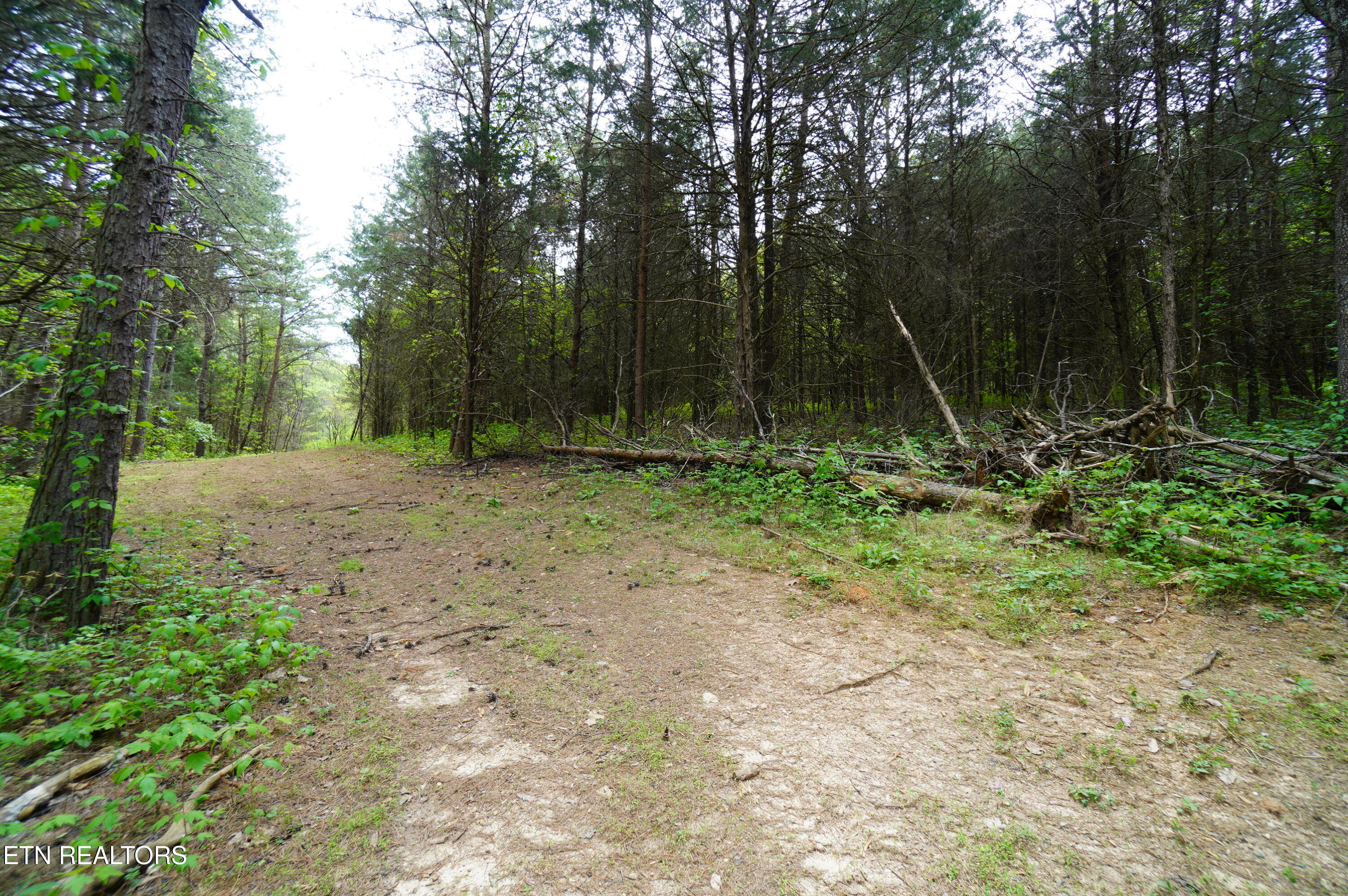 19 Pleasant View Cemetery Road New Market, TN 37820 - Photo 11 of 26 add on photos (10)