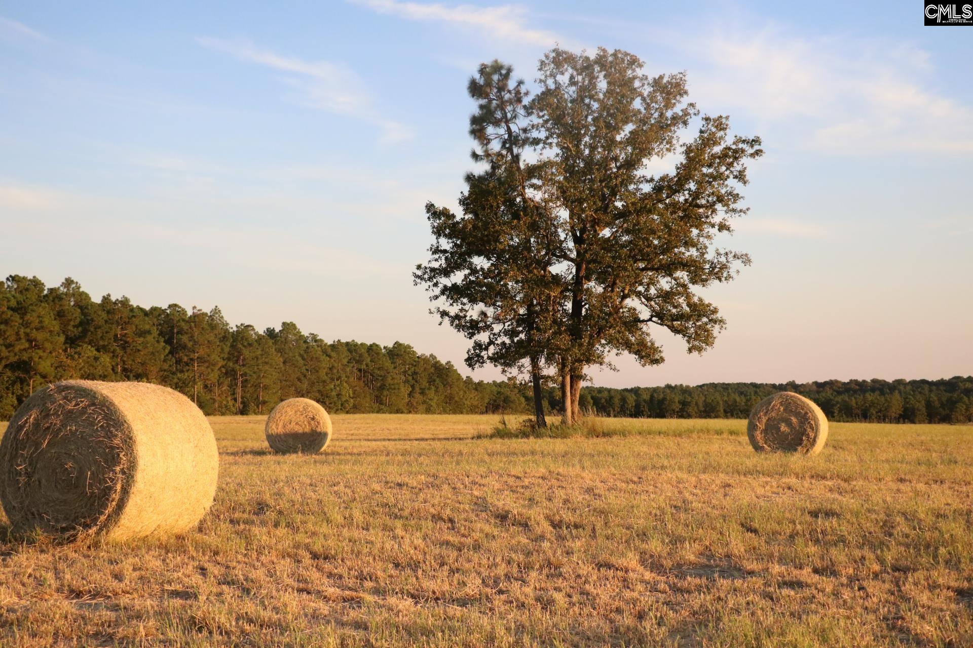 Tbd Browns Pond Road Wagener, SC 29164 - Photo 23 of 48