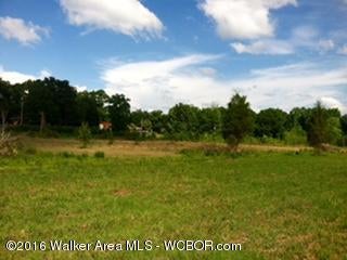 Crestview Road Cordova, AL 35550 - Photo 10 of 15 Gallery Image 10