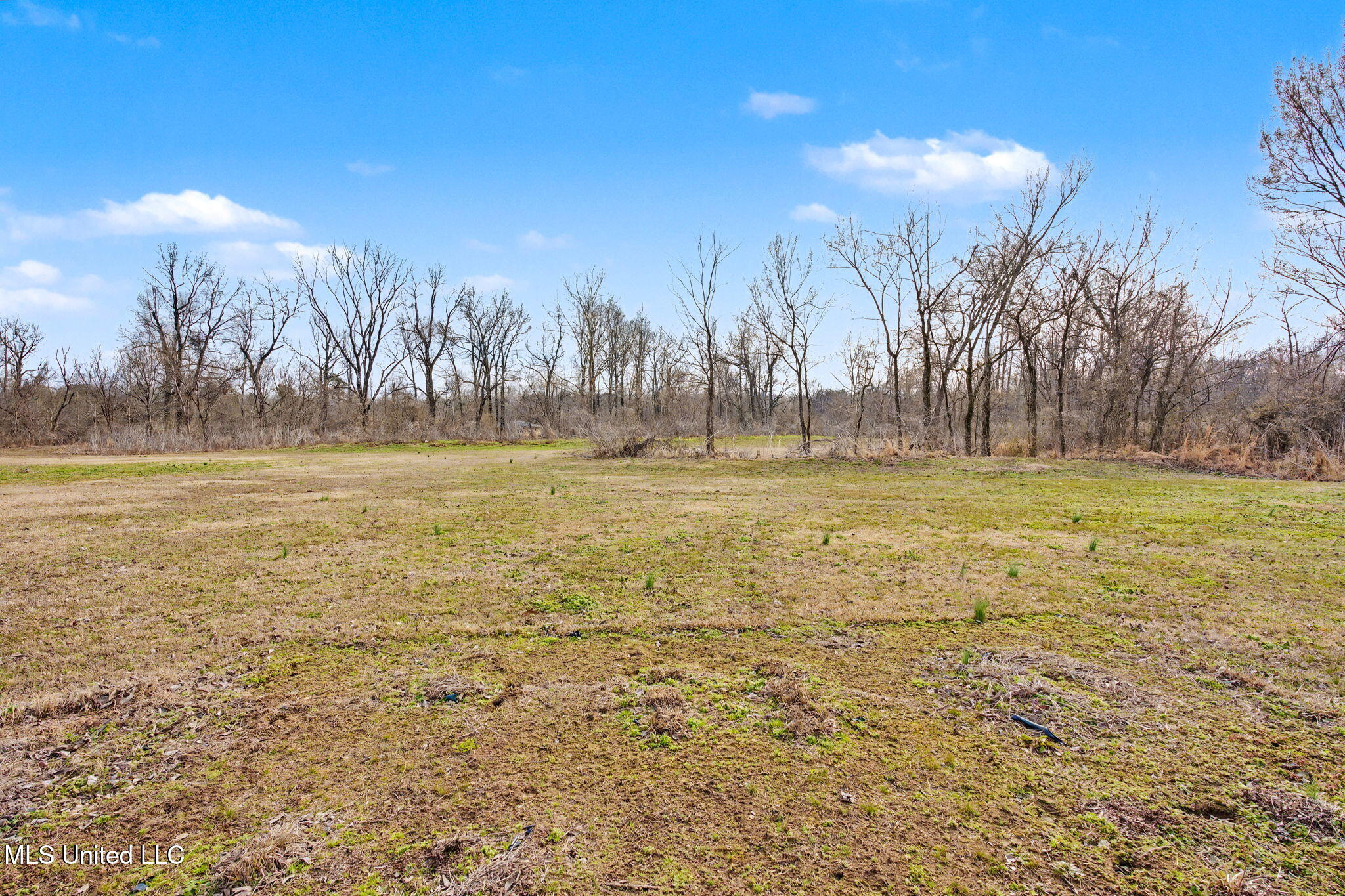7203 Angie Drive Hernando, MS 38632 - Photo 25 of 31 Back Yard