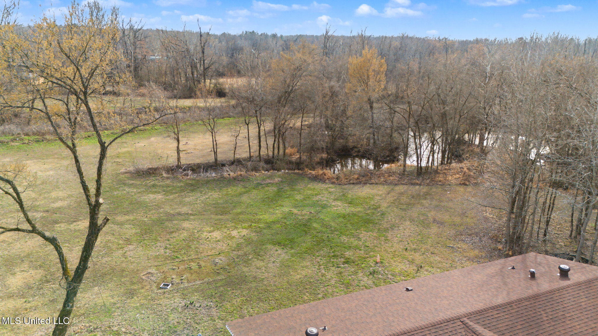 7203 Angie Drive Hernando, MS 38632 - Photo 31 of 31 Aerial Back Yard