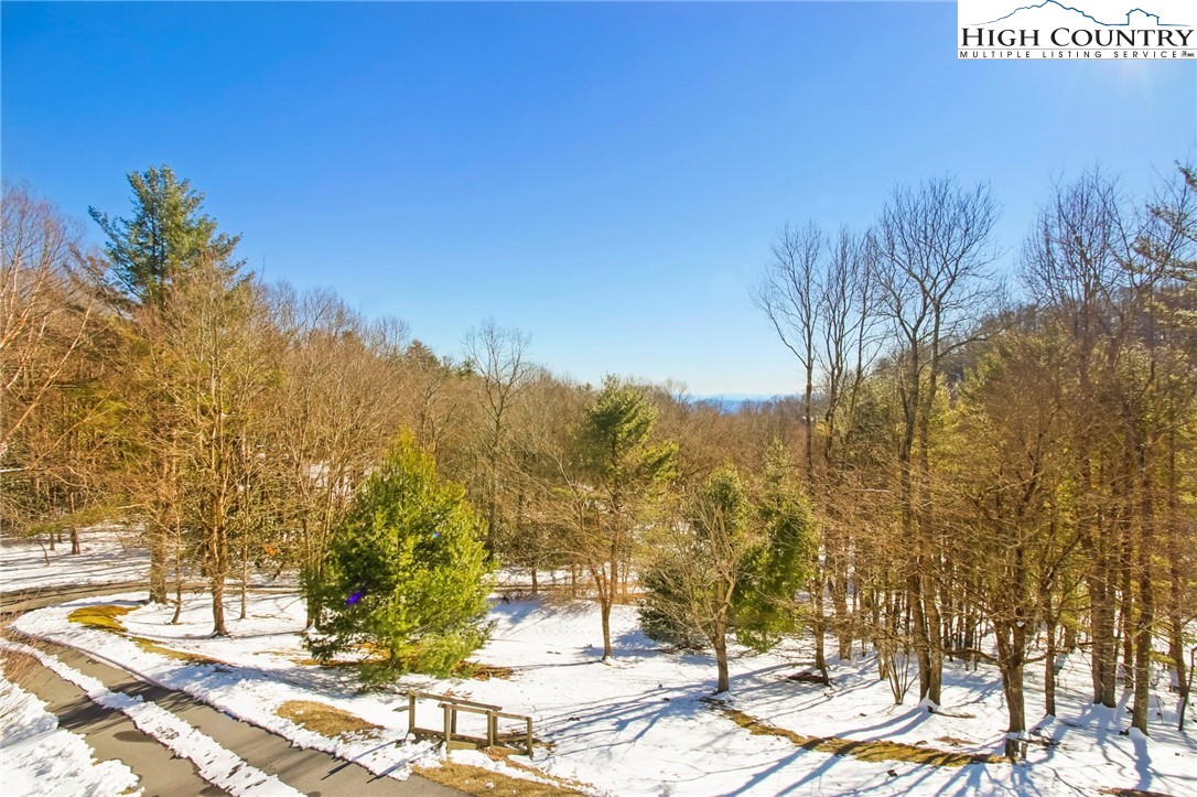 454 Huckleberry Trail Boone, NC 28607 - Photo 12 of 36