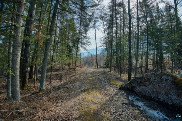 $125,000 | 9572 Bonner Road, Mountain Iron, MN 55768