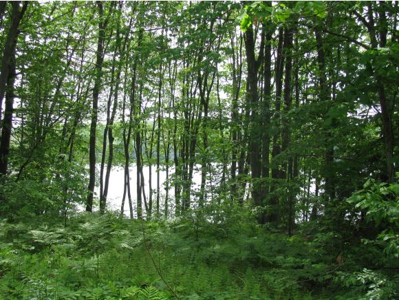 Lot 40-2 Dam Site Road Center Barnstead, NH 03225 - Photo 3 of 11