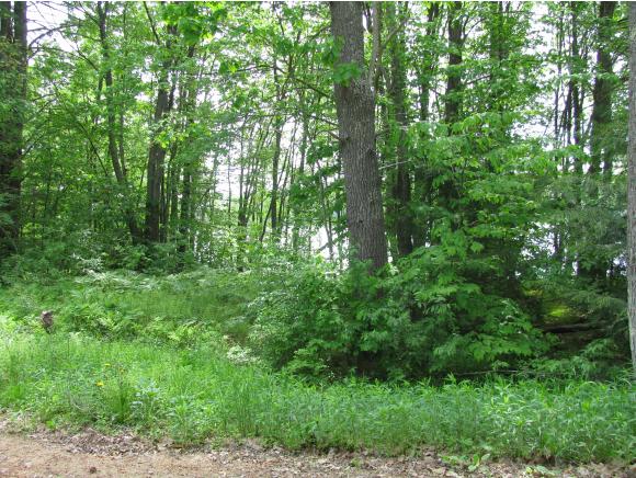 Lot 40-2 Dam Site Road Center Barnstead, NH 03225 - Photo 4 of 11