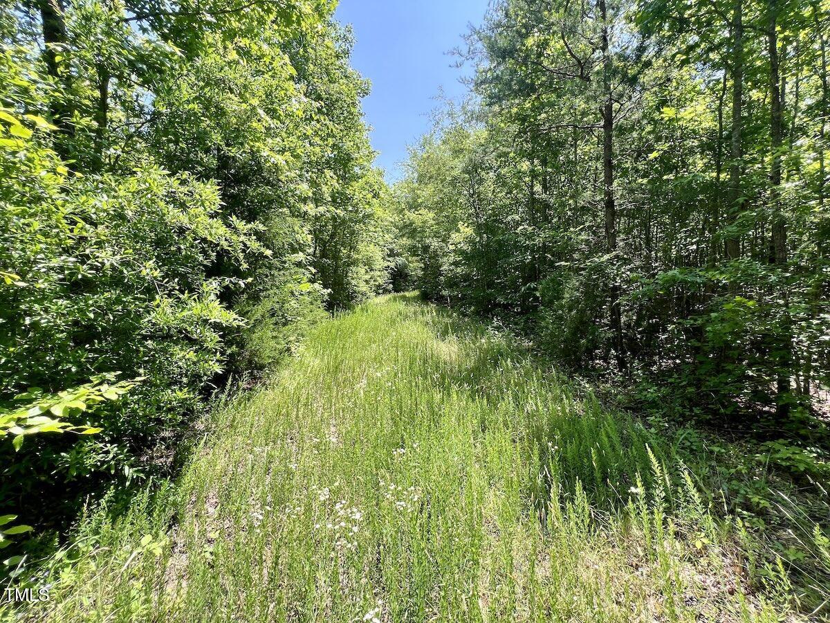 0 High View Church Road Roxboro, NC 27574 - Photo 19 of 26 7a