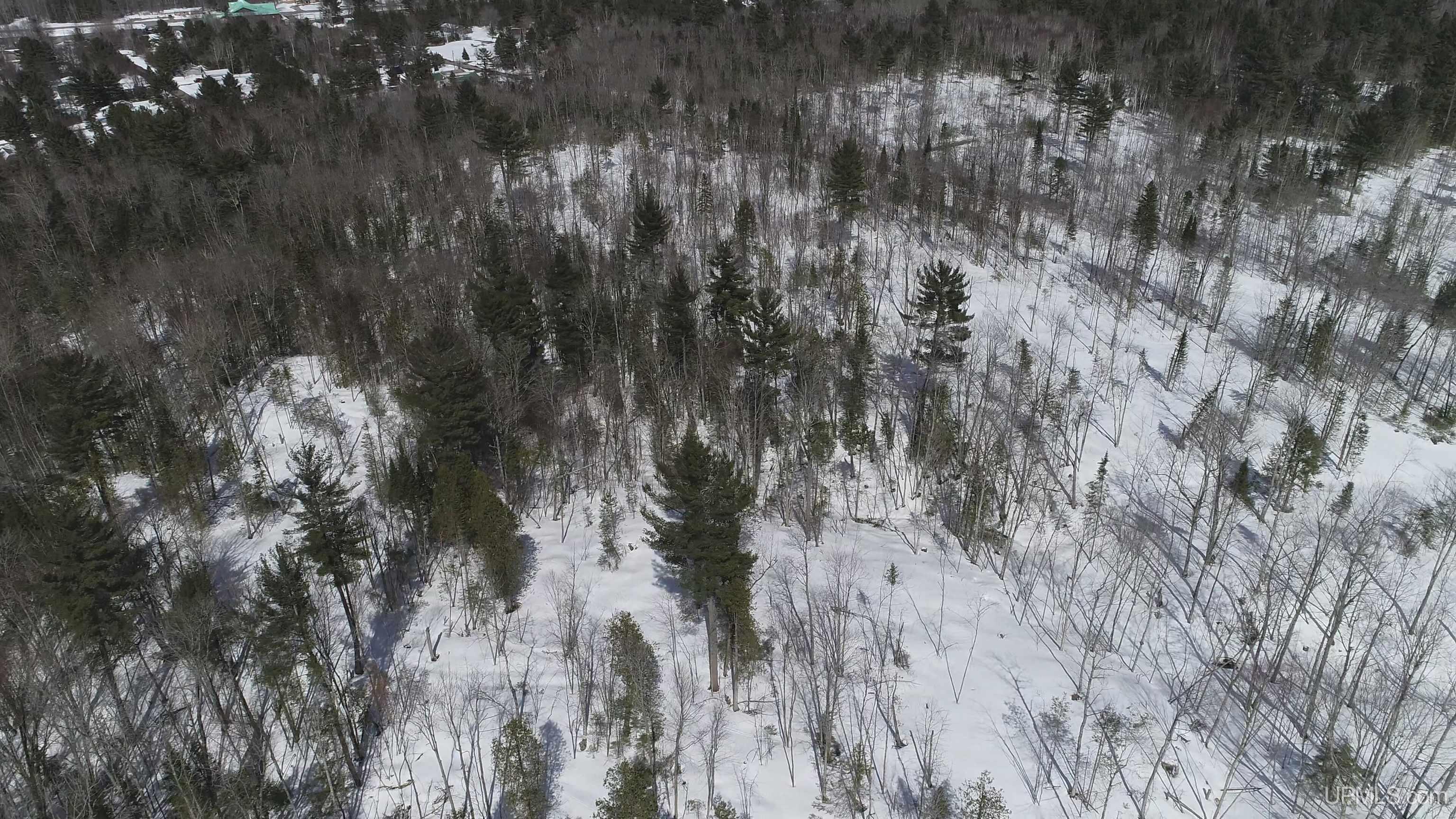 South 8-acres Perch Lake Road Munising, MI 49862 - Photo 34 of 44 Gallery Image 34