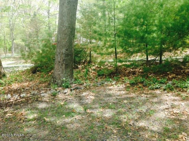 162 Beech Road Dingmans Ferry, PA 18328 - Photo 10 of 15 a view of outdoor space and trees