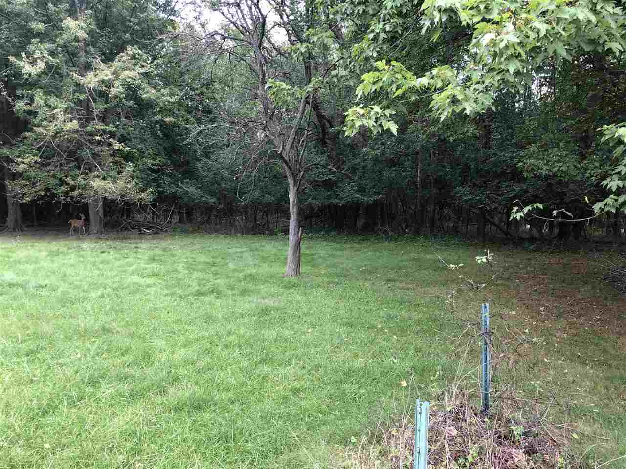 1195 East Avon Circle Rochester, MI 48309 - Photo 8 of 9 50054330-7.JPG