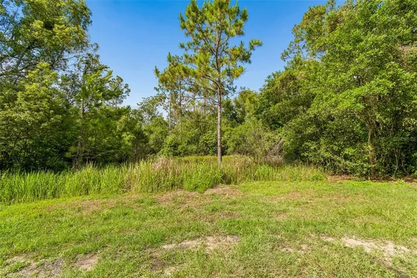 $199,000 | 0 Hamrich Drive, Dade City, FL 33525