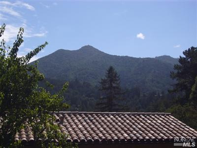 4 Rock Road Kentfield, CA 94904 - Photo 11 of 12 a view of a terrace