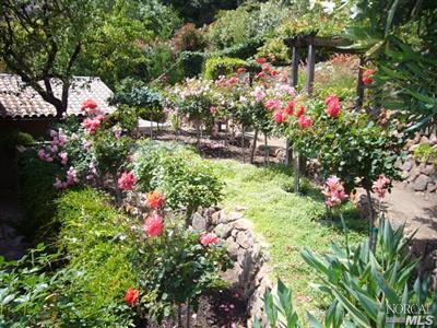 4 Rock Road Kentfield, CA 94904 - Photo 12 of 12 a view of a flower in a garden