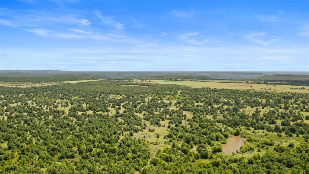 Tbd Berry Dairy Road Bryson, TX 76427 - Photo 20 of 39