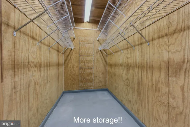 a view of a forest with a tree