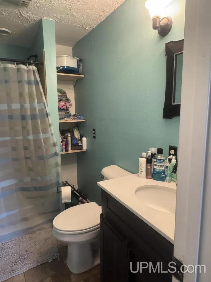 1210 River Road Germfask, MI 49836 - Photo 8 of 20 Gallery Image 8