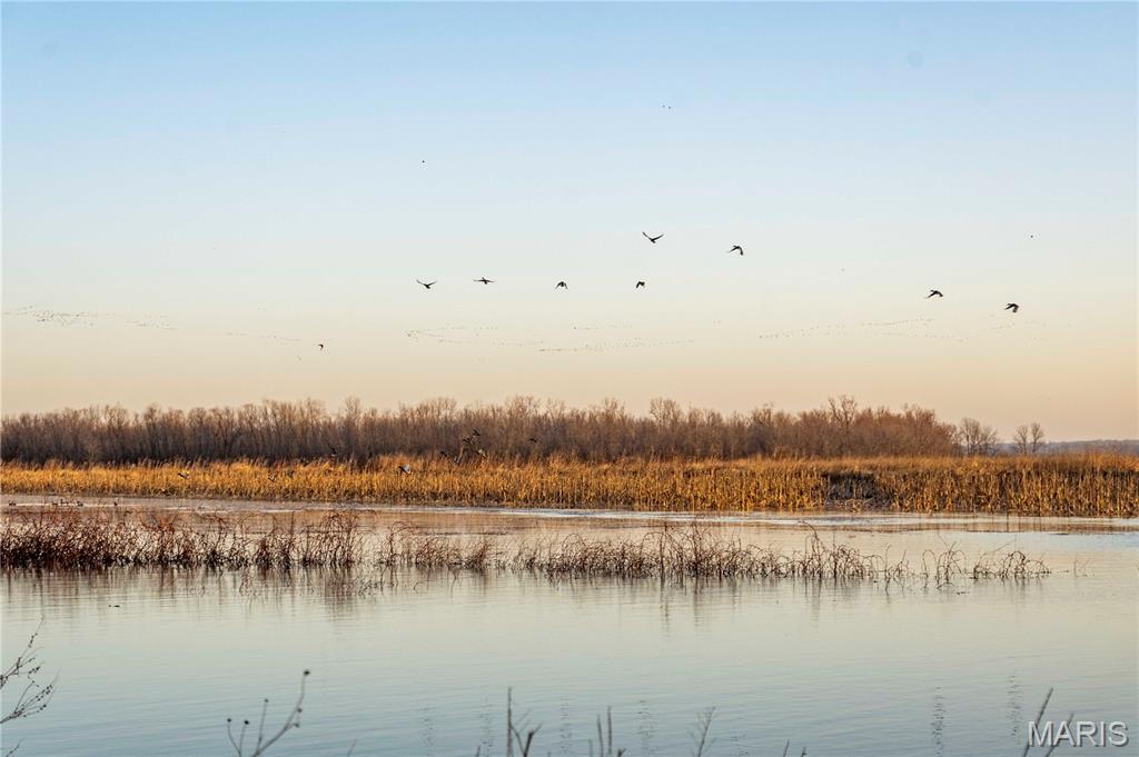 0 Mo-m Foley, MO 63347 - Photo 41 of 75