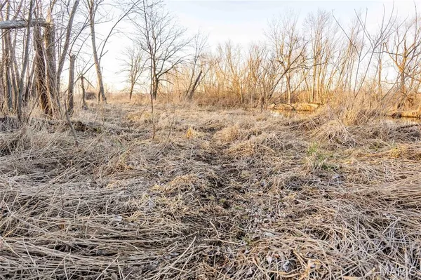 $1 | 0 Mo-m, Foley, MO 63347