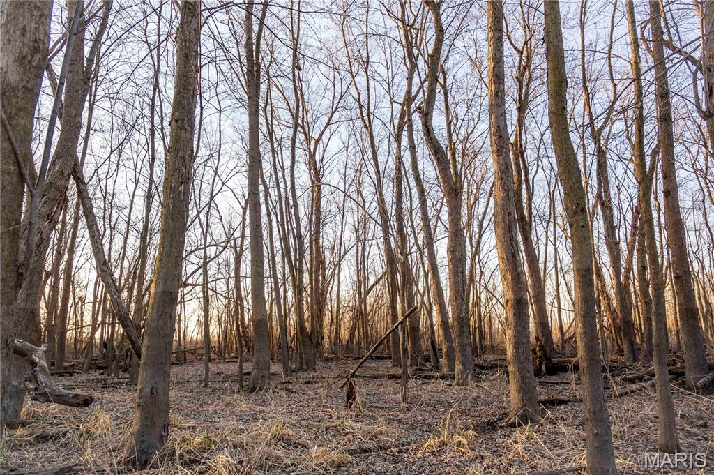 0 Mo-m Foley, MO 63347 - Photo 70 of 75