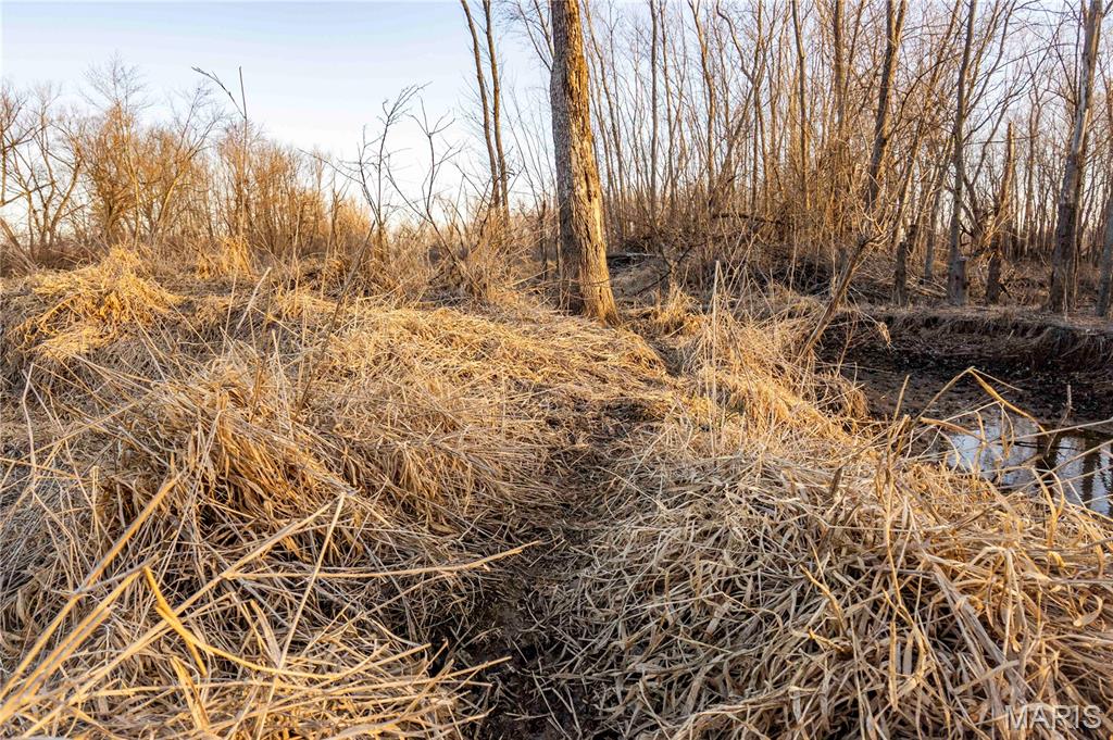 0 Mo-m Foley, MO 63347 - Photo 71 of 75