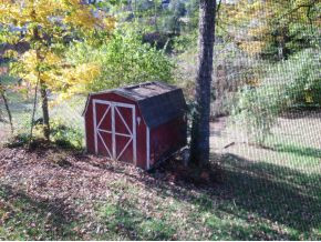 512 Rambling Road Kingsport, TN 37663 - Photo 14 of 24 Storage Building