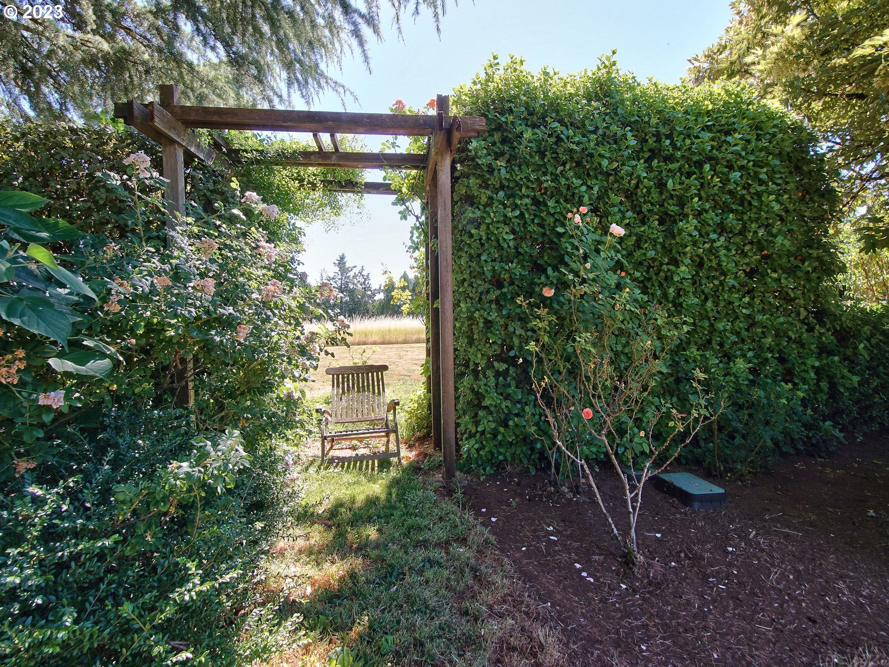 19105 Northeast Trunk Road Dundee, OR 97115 - Photo 42 of 48 Deck