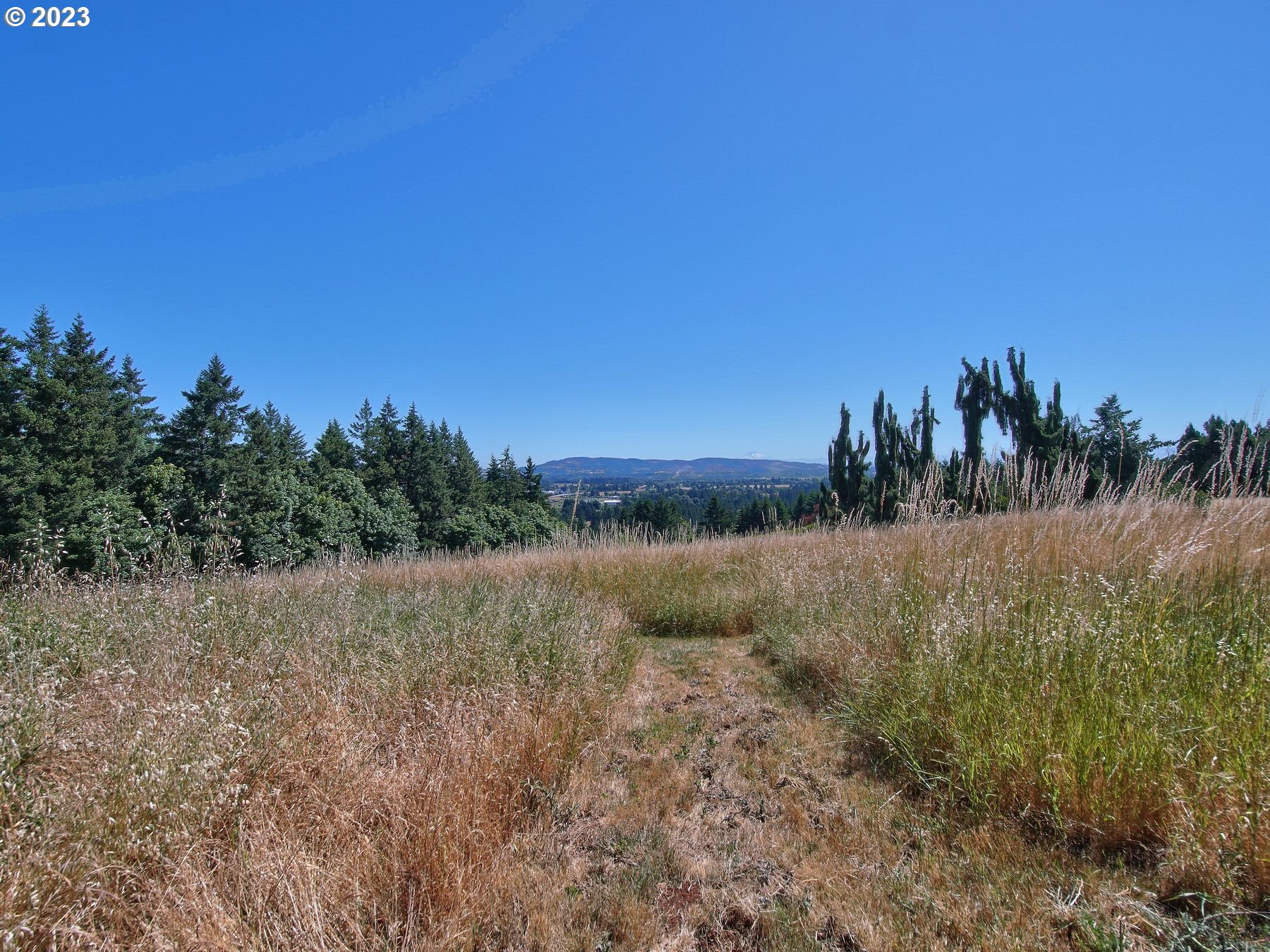 19105 Northeast Trunk Road Dundee, OR 97115 - Photo 45 of 48 Garden