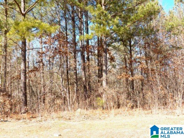 245 Covington Rdg Drive, Unit 34 Jacksonville, AL 36265 - Photo 11 of 11