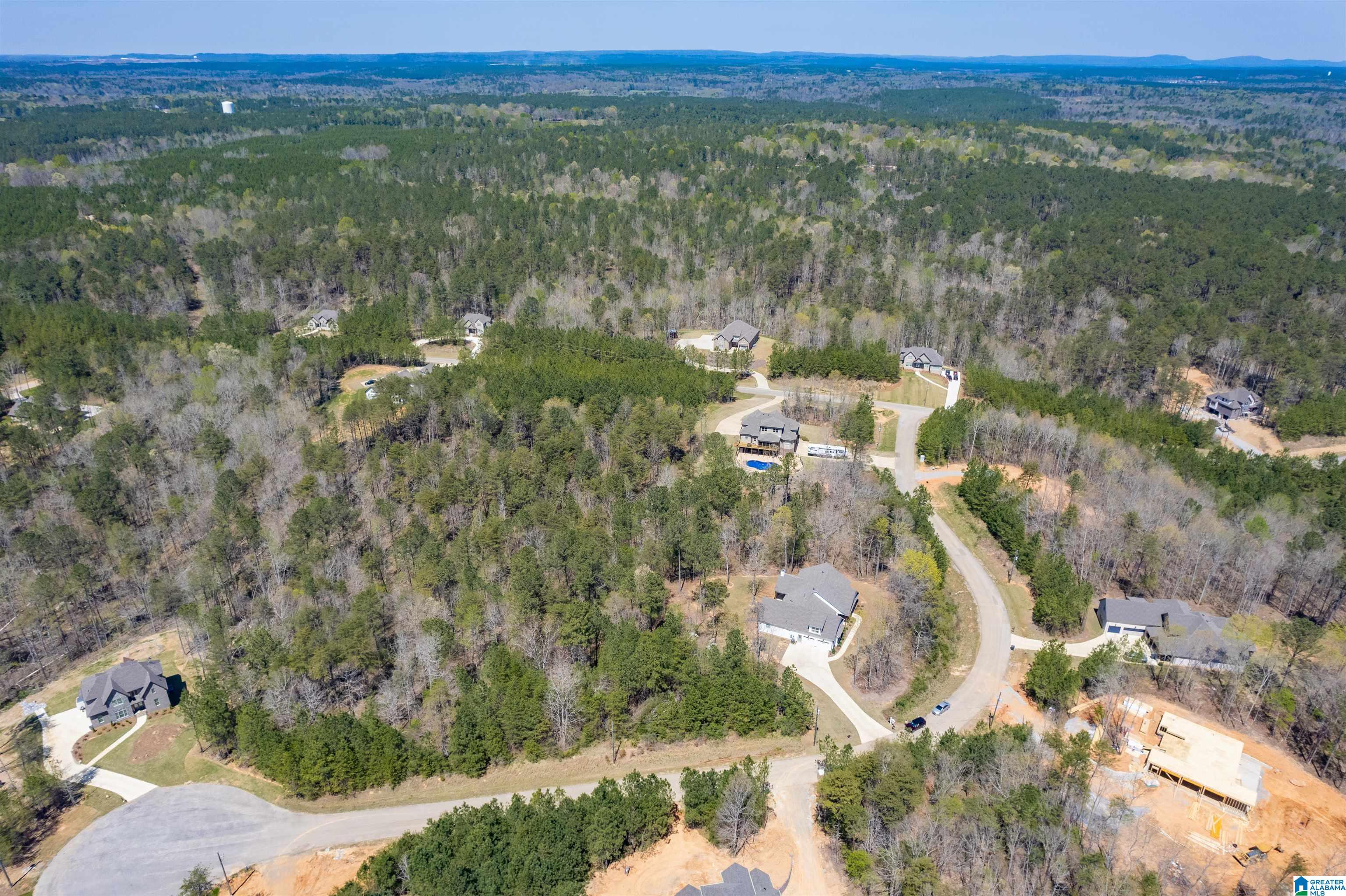 110 Cornerstone Circle Calera, AL 35040 - Photo 46 of 46