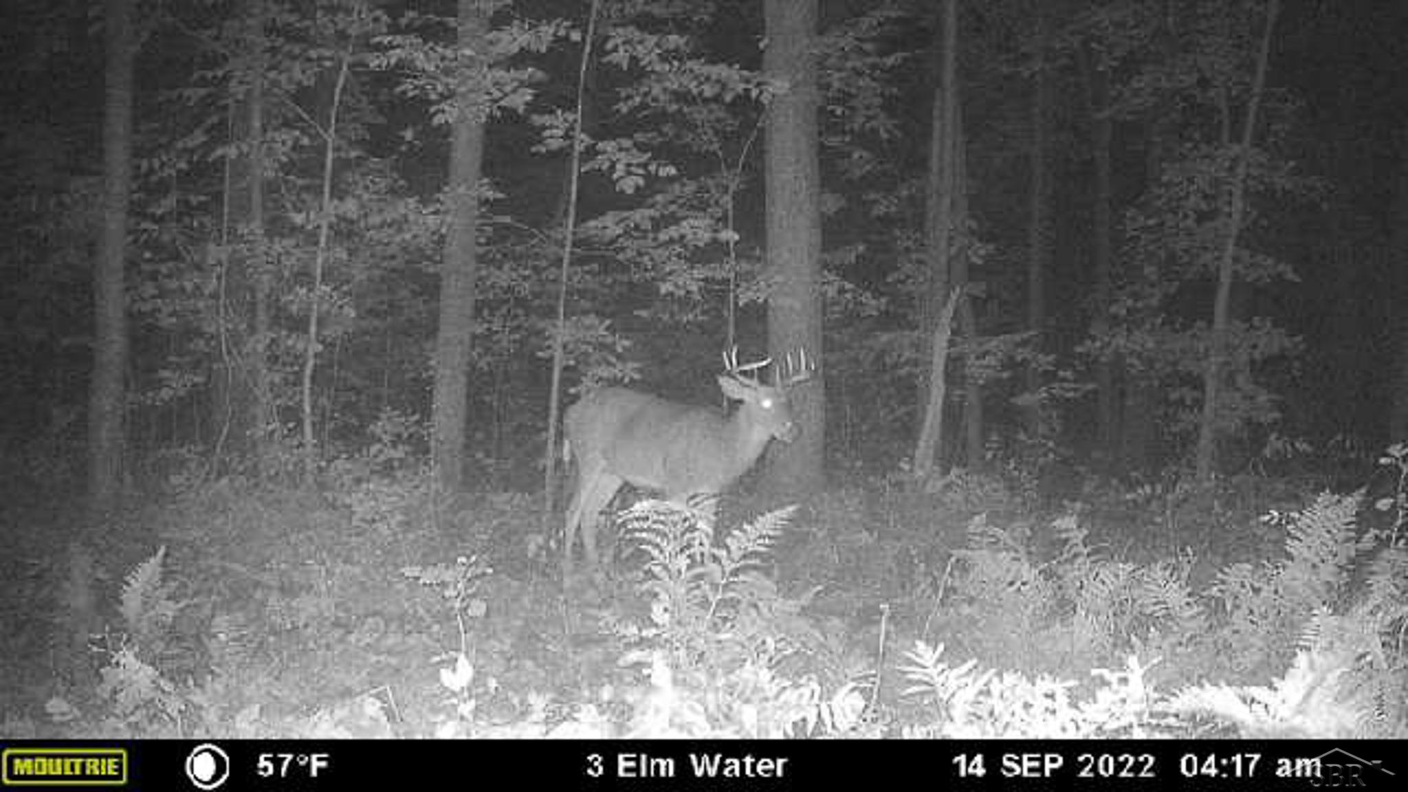 V/l East Bevens Road Caro, MI 48723 - Photo 36 of 41