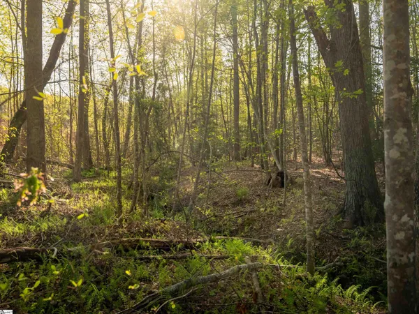 $255,000 | 1 Hood Road, Unit LOT 1, Easley, SC 29640