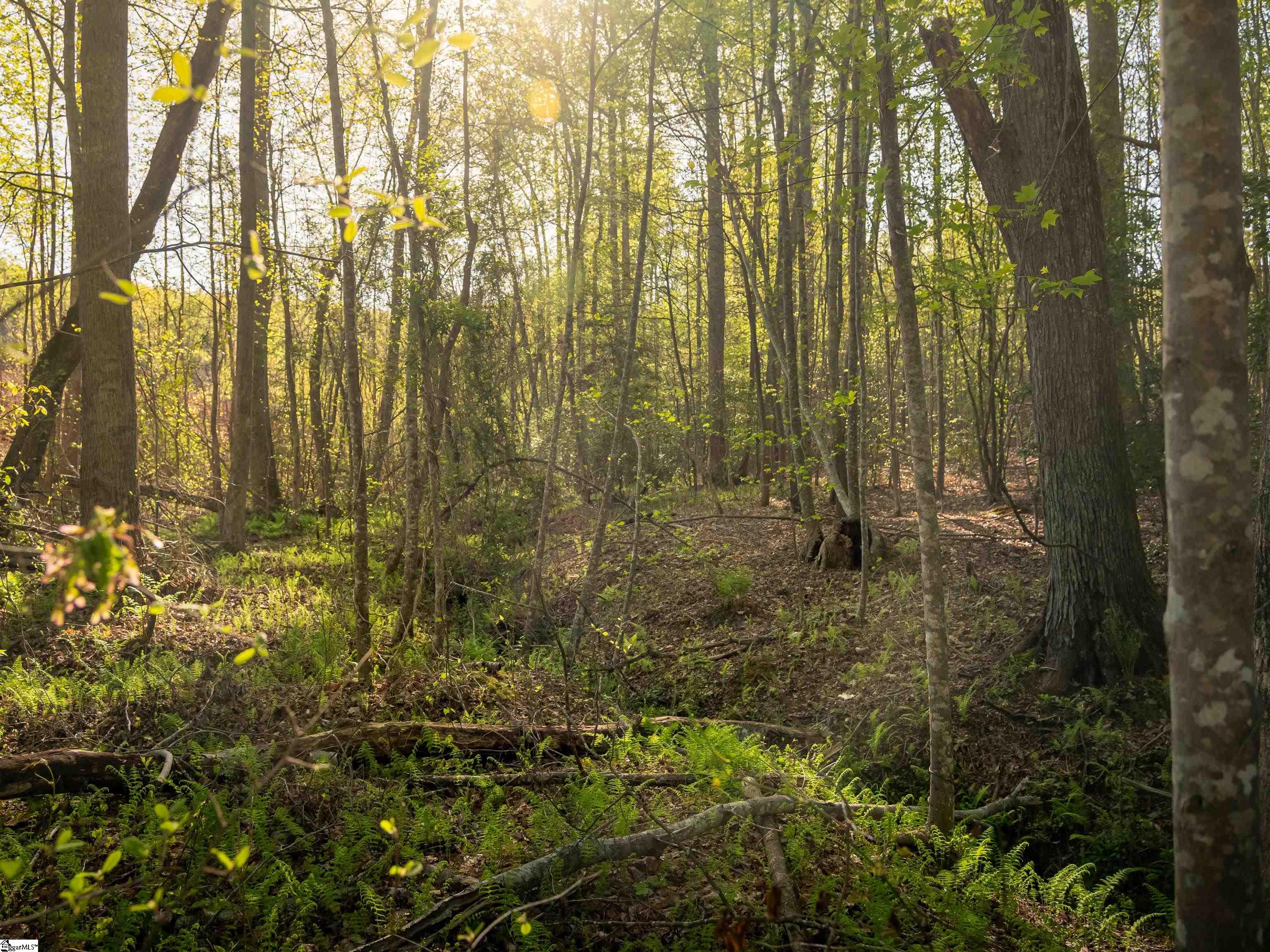 1 Hood Road, Unit LOT 1 Easley, SC 29640 - Photo 20 of 33