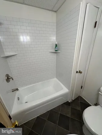 a bathroom with a bathtub and a toilet