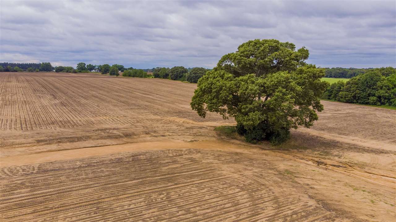 23900 Flowers Road Robertsdale, AL 36567 - Photo 7 of 13
