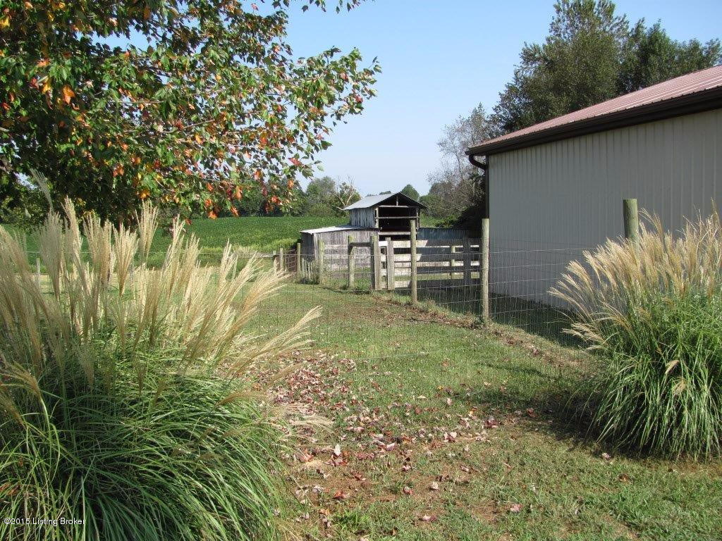 674 Miller Road Hodgenville, KY 42748 - Photo 34 of 36 IMG_7861