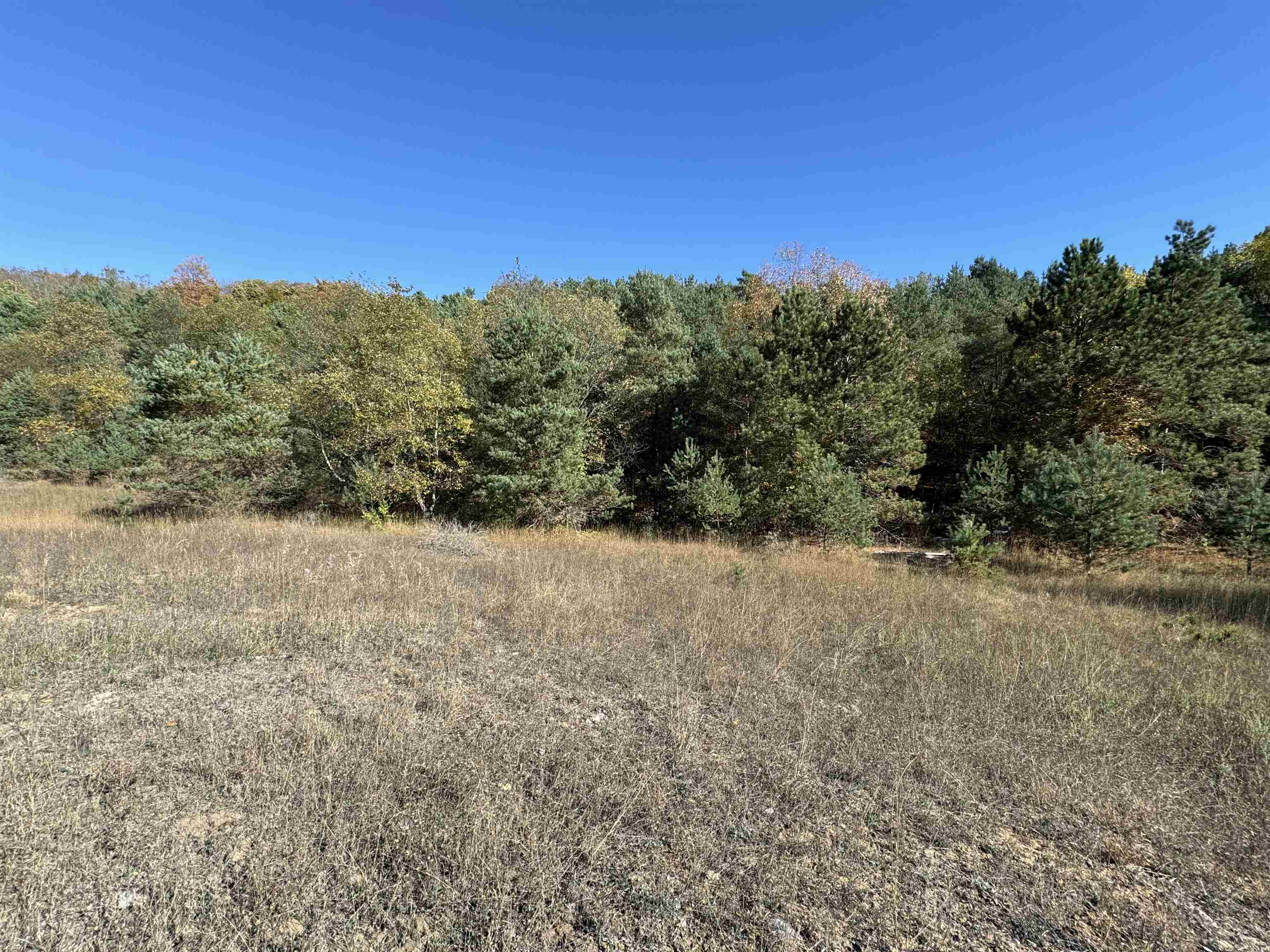 8335 South Tremain Road Maple City, MI 49664 - Photo 10 of 30