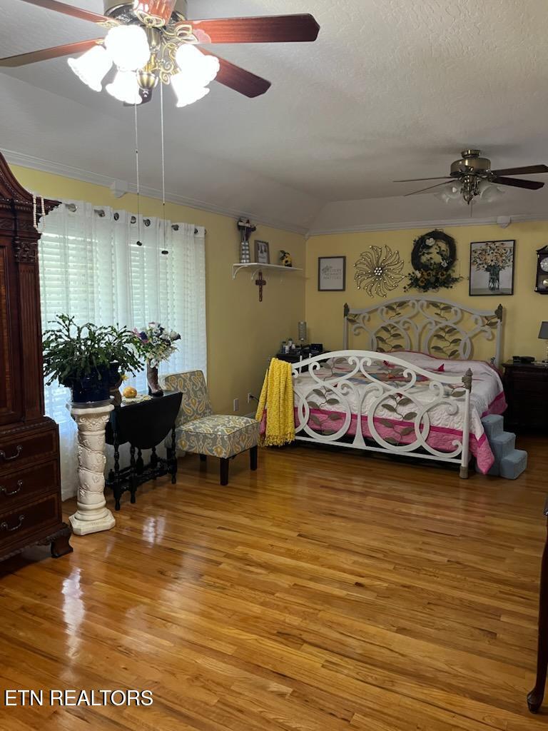 240 Indian Creek Road Jacksboro, TN 37757 - Photo 17 of 24 IMG956295