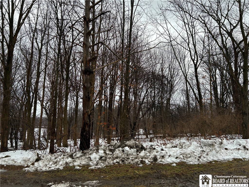 Alleghany Road East South Dayton, NY 14138 - Photo 2 of 10