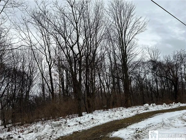 $199,900 | Alleghany Road East, South Dayton, NY 14138