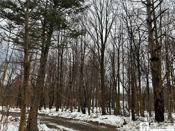 $199,900 | Alleghany Road East, South Dayton, NY 14138