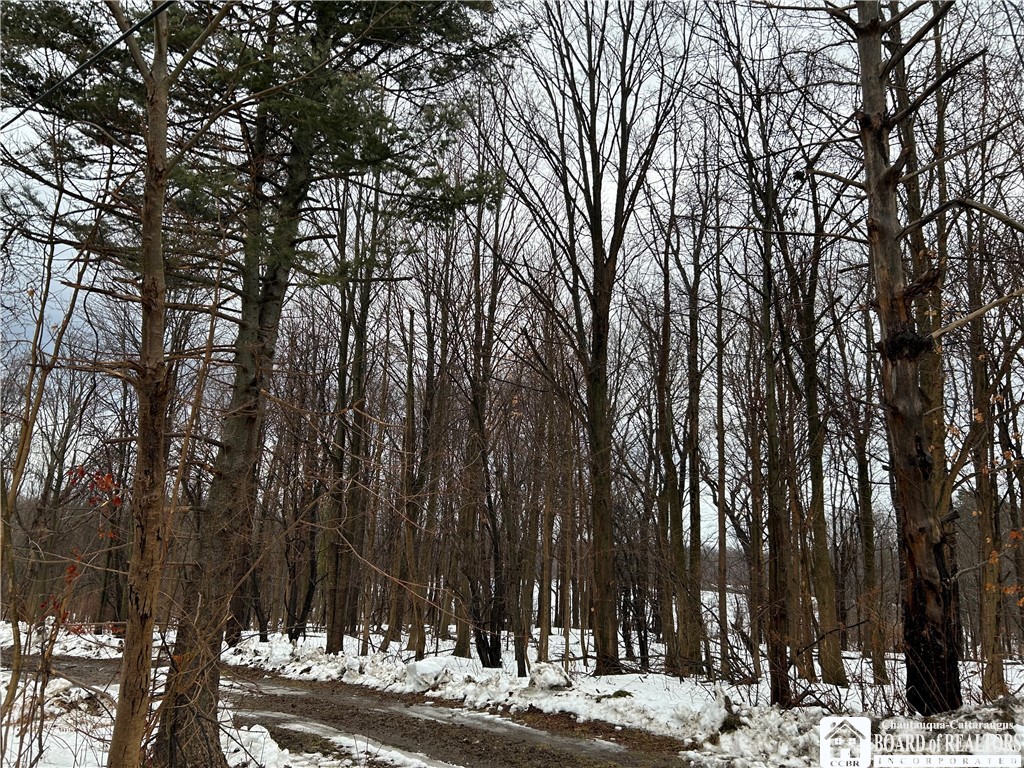 Alleghany Road East South Dayton, NY 14138 - Photo 4 of 10